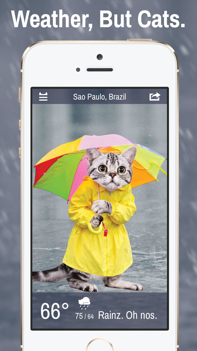 weather whiskers ios app