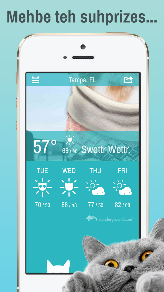 weather whiskers ios app